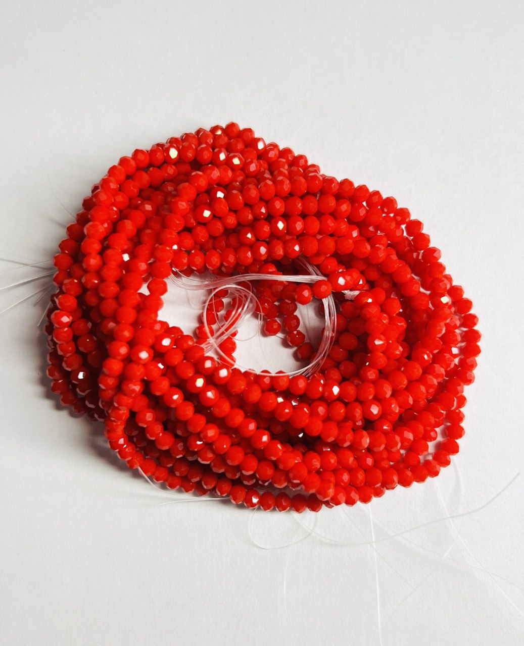 photo_2026-02-19_21-47-38