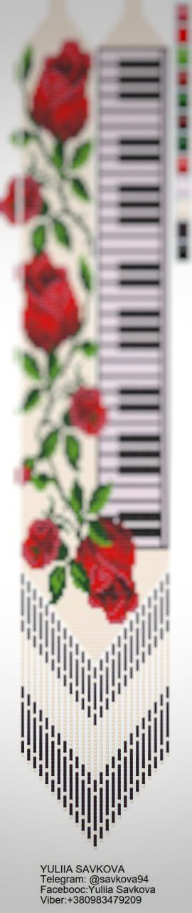 photo_2026-03-02_23-18-48